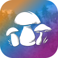 真实采集蘑菇模拟器 安卓版