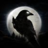 night crows 汉化版