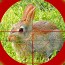 猎兔狙击手 2021最新版