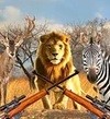 非洲丛林狩猎 正版